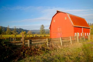 Red Barn with Cows 2 by Unbekannt Unbekannt